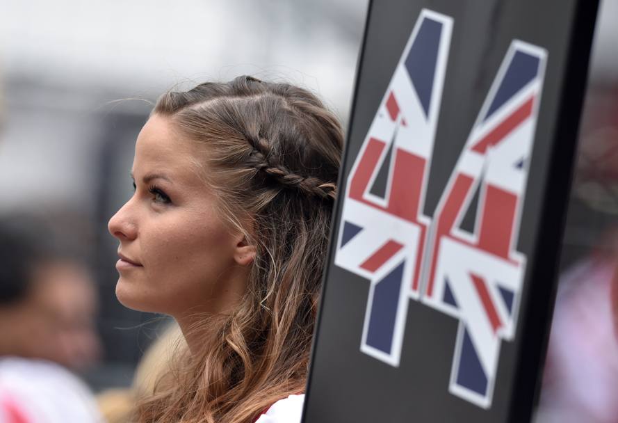 Gran premio di Formula 1 d&#39;Austria. In griglia di partenza (AFP)